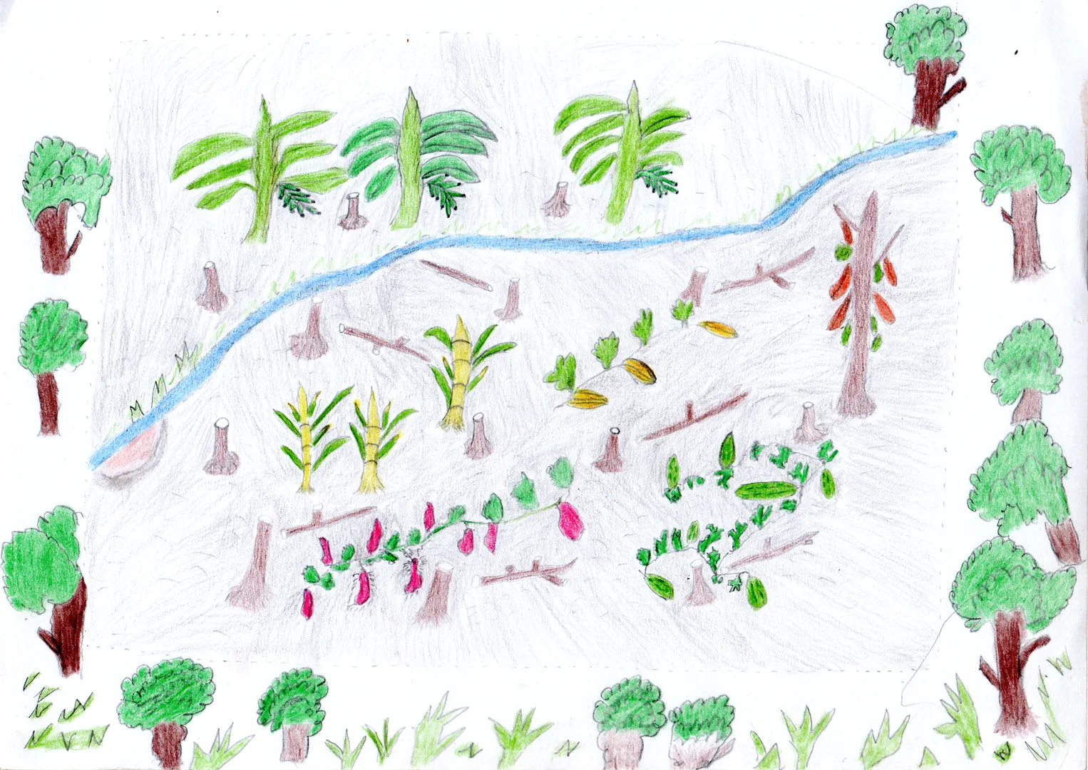 Desenho de Rildo Wacmẽrop